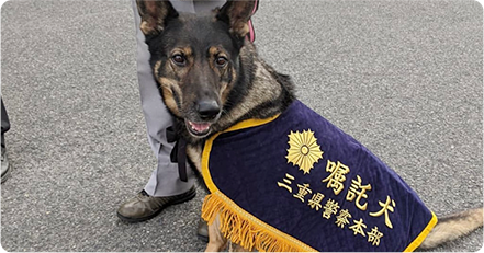 三重県嘱託警察犬訓練競技大会